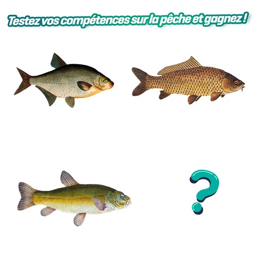 Testez vos compétences sur la pêche ! 邏 Gagnez un Behr Complete Carp Pack d’une valeur de 840€ et 250€ de bon d'achat ! ✔ Nos clients nous donnent un 9.2 ✔ Plus de 15.000 avis ✔ Garantie "satisfait ou remboursé" de 50 jours ✔ Plus de 6000 offres en stock livrables directement ! | Pechepromo | Facebook