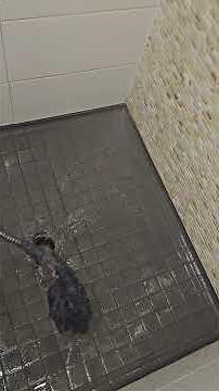 Plumber Called For Ladies Shower Clogged In Change Room.