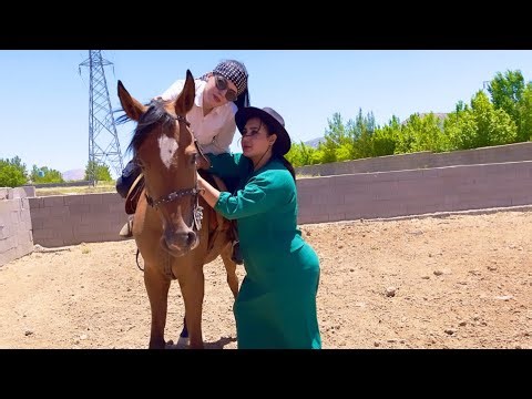 Cooking special potato mashed potato(vegetarian food)/ two onions, Iranian healthy food