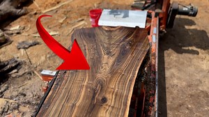 43K views · 439 reactions | See how Ethan Presley saws up an epic Crotch Walnut Log and turns it into black gold on his Woodmizer Sawmill #sawmill #woodworking | Out of the Woods Forestry | Facebook