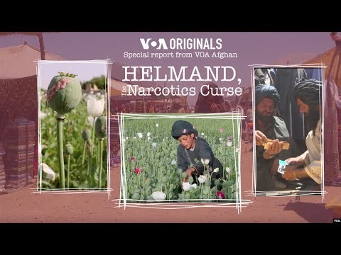 Helmand, The Narcotics Curse | Changes in Afghanistan's Largest Opium-Producing Region
