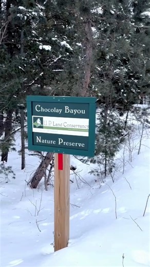 3.3K views · 115 reactions | Let's explore Chocolay Bayou Nature Preserve  | Travel Marquette | Facebook