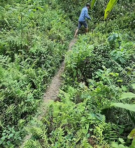 Helpless girl fall into a cliff. Poor girl. | Bushcraft Camping