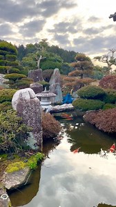 75K views · 1.5K reactions | Most Beautiful Japanese Garden and Koi Pond I’ve seen!  #garden #japanesegarden #koipond #gardendesign #zen #koifish #watergarden #oaselivingwater | Yvo - The Koi Partner | Facebook