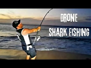 Drone Shark fishing - hammerhead