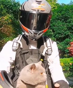 This is so cute 🥰❤️ | 𝖠𝖾𝗌𝗍𝗁𝖾𝗍𝗂𝖼 Mood