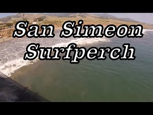 Surfperch and Shark Fishing at San Simeon