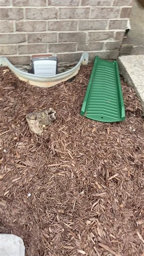 amandathefunnynp on TikTok