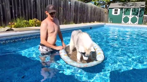 Dog Float for Pool, Dog Pool Float Inflatable for Large Doggy Foldable Lake Raft for Heavy Duty Pet Puppy Float Row Swimming-Up to 80 Lbs