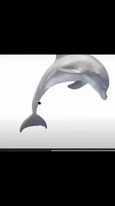 Logo design ideas 💡💡💡 #logodesinger #logodesignchallenge #logodesigner #logodesigning #StarsEverywhere #logochallenge #logotype #logodesigns #logos #logo | Logo Design