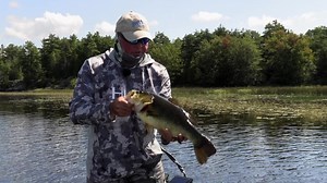 Only the hardcore largemouth bass hunters would understand, you don't need FFS to constantly catch the biggest bass in the pond! Gut instinct wins! Surprised this beast of a bass didn't break my rod on the boat lift! #largemouthbassfishing #largemouthbass #largemouth #largemouthnation #bigbassonly Go Fish In Ontario #frenchriver WATCH HERE. | Extreme Angler TV