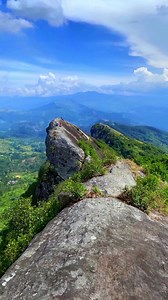 Nature gallery on Reels
