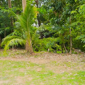 2.8K views · 23 reactions | Welcome to the exciting world of fantasy creatures! In this fun adventure, Cold and Hot mermaids create a secret room right in the garage! We will reveal the secrets of their unique worlds, and you will see how to create a mysterious hiding place for magical adventures. Are you ready to join us in this exciting building process? | WooHoo WHOA | Facebook