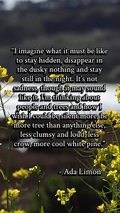 Celebrate the beauty of Elkhorn Slough with us by joining the Elkhorn Forever campaign! Link in bio. #elkhornforever #elkhornslough | Elkhorn Slough Foundation