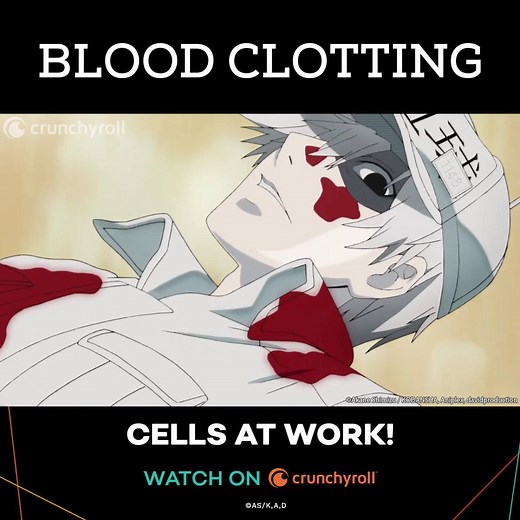 I’m never picking my scabs again... | Crunchyroll