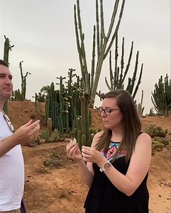 15K views · 1.4K reactions | How to eat Cereus Peruvianus Fruit  | Cactus Country | Facebook