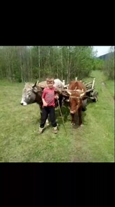 36K views · 506 reactions | Selo moje,lepse od Pariza. | Kapljice Zivota | Facebook