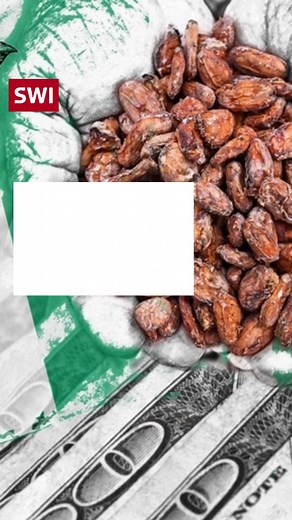 Uma iniciativa para aumentar os preços do grão de cacau no mercado...