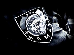 Behar - Hamze i Gazije (Bosnian war song)