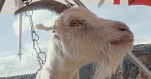 Goat Glider