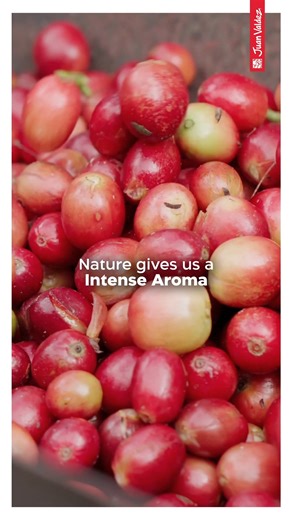  Indulge in our exquisite 100% premium Colombian coffee, cultivated...