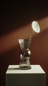 32K views · 103 reactions |  “Pertencer”, nova coleção...