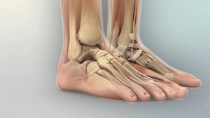 「人間の解剖学と筋肉と骨格のシステム」の動画素材（ロイヤリティフリー）1055720306 | Shutterstock