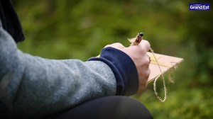 Entrez au cœur des forêts du Grand Est 🌳 Nous souhaitons vous emmener dans un voyage enchanteur à travers les majestueuses forêts de la Région Grand Est qui recouvrent un tiers du territoire. 🍃 Ces trésors naturels regorgent de beauté, de biodiversité et de surprises qui ne demandent qu'à être appréciés. Que vous soyez, randonneur, amateur de vélo, photographe ou simplement en quête de tranquillité, vous y trouverez votre bonheur. 🌿🌍 ⭐ Profitez du festival "Les Nuits des Forêts", du 9 au 18 