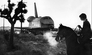 Space shuttles and horses asses