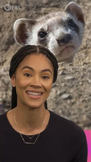 How Does De-Extinction Work?