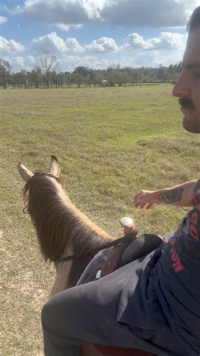 A little LIGHT work - per the vet | Shirtless Jake's Homestead