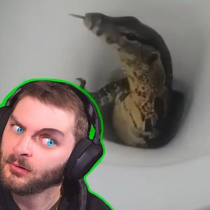 Trying not to get demonetized! | Joshdub