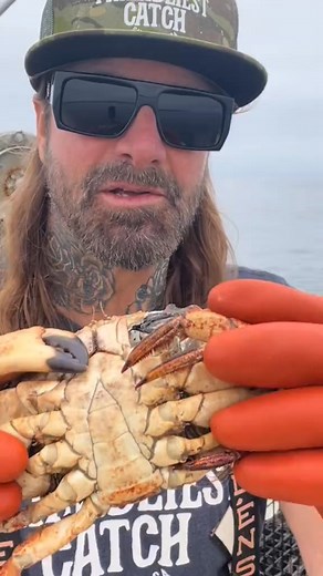 165_Decaying Crab with Shell Rot & Sea Lice #fyp #crab #natgeo #crablover #friendliestcatch #se#fyp #foryou #viral #trending #reels | Matt Rockhold