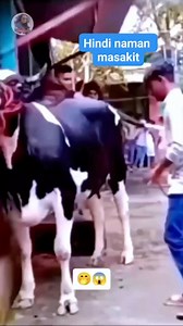 Diversify your content #reels #repurpose #entertainment #virals #shorts #trending #tips #tutorials | Adrian Bigay