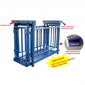 [Hot Item] 24V Power Supply and A12e Display Type Cow Weighing Scales