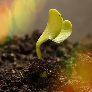 You are your own touch tree. Everything you need is inside and beneath you. Nothing wasted. Nothing. G #GetUntamed | Glennon Doyle