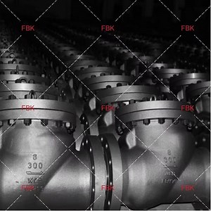 [Hot Item] API Forged Steel Cast Steel Check Valve