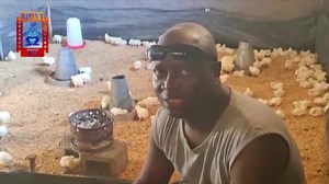 4.4K views · 79 reactions | MUBITA ANAKOKA SHOWS OFF SUCCESSFUL PROJECT. follow link for more>>>>> https://youtu.be/NCyhHUWbu8E | Ask Muvi TV | Facebook