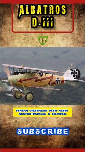 Albatros D.III ?