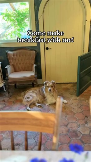 The bathroom was messy, the laundry overflowing, my heart a bit sloppy. But I paid no mind - there was a beautiful breakfast to have. If I don’t stop, I won’t ever stop - ya know? 😂 #cultivatingthebeautifullife #intentionalliving #homesteadlife #lifeisbeautiful #seasonalliving #garden #summer #breakfast #food #foodlover #foodies | The Elliott Homestead