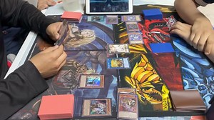 Crazy monkey cards on Reels