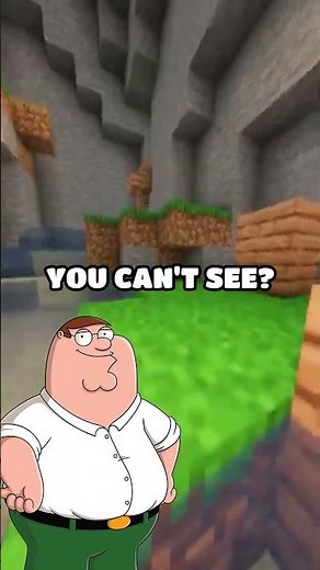 🐞 Heisenbugs: The Bugs That Vanish When You Look at Them!