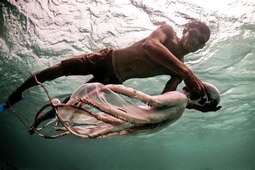 Kỳ lạ bộ tộc 'người cá', lặn sâu dưới biển để kiếm ăn