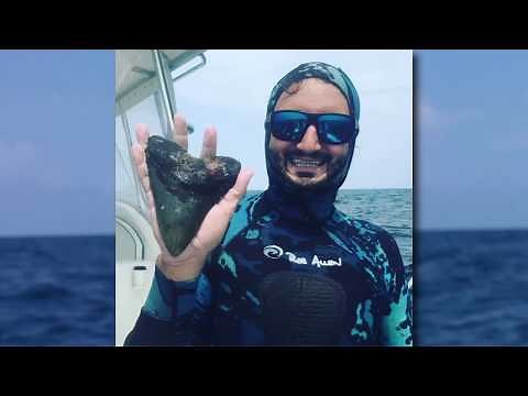 NC Coast is hot spot for prehistoric Megalodon shark teeth