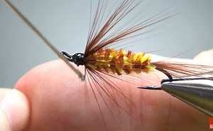 Tying Tuesday: The Brindle Bug | MidCurrent