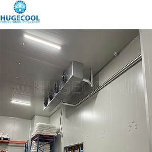 [Hot Item] Large 1000 Tons Cold Storage Cooler for Onion