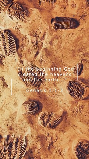 Creation Minute Mondays with Pastor Steve! Does the fossil record actually record a slow gradual evolution? The Cambrian Explosion proves otherwise. Loving Jesus, Loving Others | Rocky Mountain Calvary Chapel Calgary