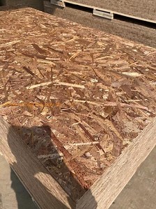 [Hot Item] OSB3 9-18mm Structural Particleboard Plain Raw Pine Poplar Waterproof Glue OSB for Furniture