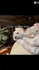 That’s why he’s he GOAT✝️🩷 #foryou