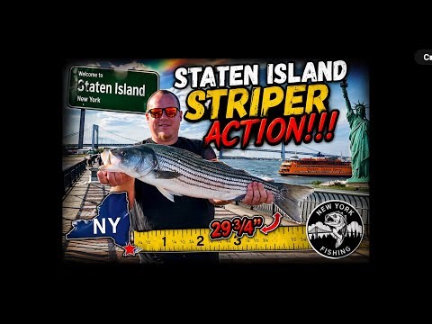 New York STRIPER ACTION!!